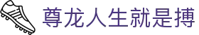 尊龙人生就是搏 - (中国)乌鲁木齐尊龙人生就是搏科技有限公司欢迎您